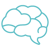 Brain